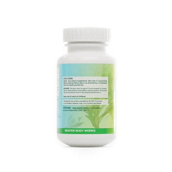 Picture of Master Body Works